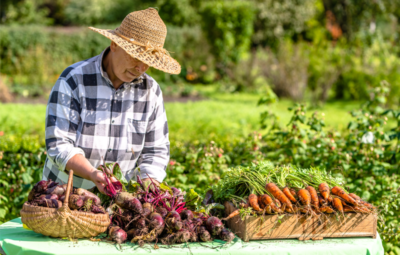 La répartition géographique des AMAP en France