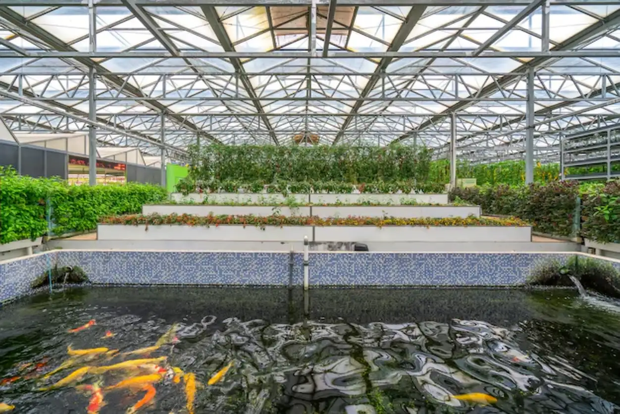Serre Aquaponique : Un Système Durable pour Cultiver et Élever