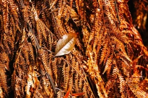 Modern floral composition with elegant style