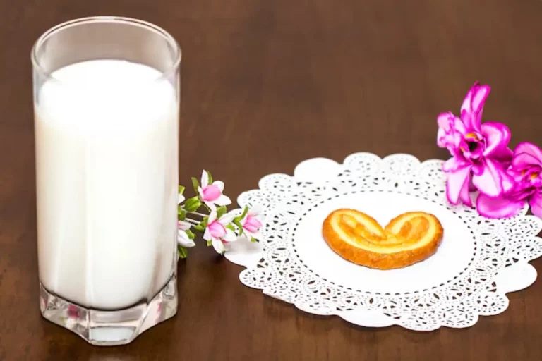 Lait chamelle : un trésor nutritionnel à (re)découvrir