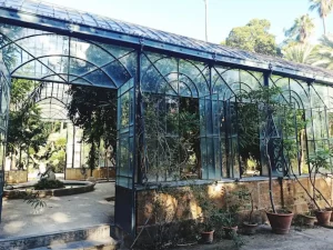 Plants growing in greenhouse in a botanical garden