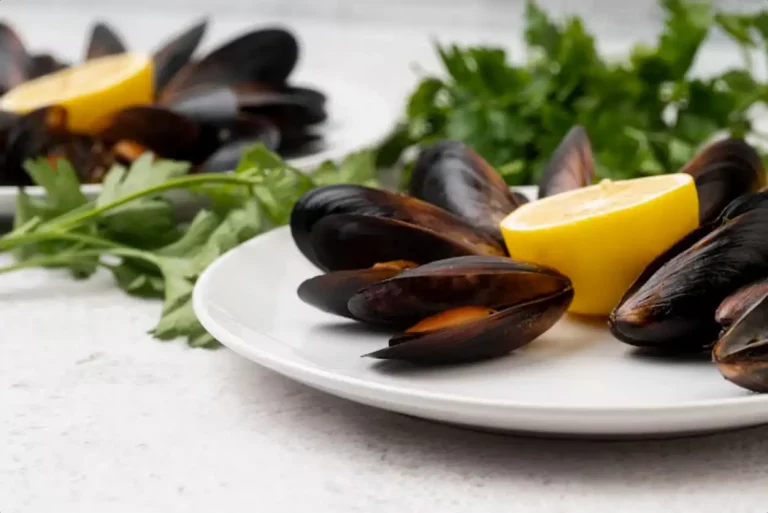 Moules d’eau douce : alliées discrètes et précieuses de nos écosystèmes