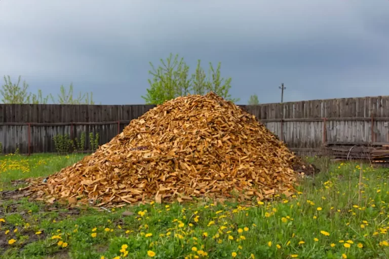 Broyat de bois : l’atout naturel pour un jardin vivant et durable