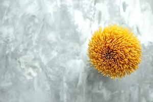 Top view long italian pasta raw product on light background