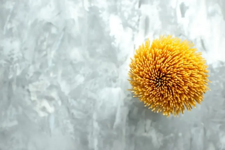 Oeuf de mites textile : ce détail invisible qui menace vos vêtements… Découvrez pourquoi