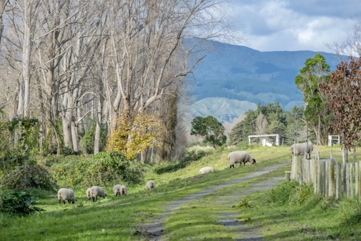 Ferme de la Tuilerie : entre élevage, produits fermiers et vacances à la campagne