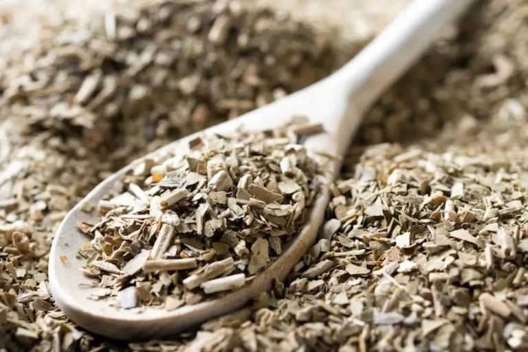 Chicorée bio : l&rsquo;alternative saine et locale au café sans caféine