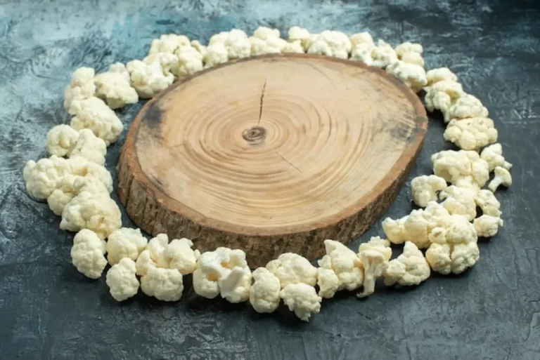 Tomme de brebis : secrets de fabrication, affinage et idées pour la sublimer en cuisine