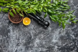 Top view green leaves with pepper on light-dark background salt seasoning green food color