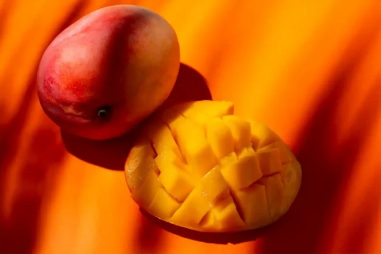 Calories dans une mangue : composition nutritionnelle, bienfaits et astuces minceur