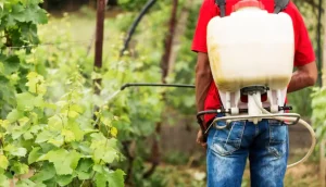 Back view farmer watering plants