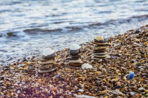 bernique rocher océan, coquillage patelle bretagne