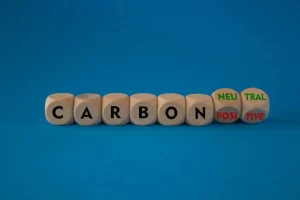 carbon tax border EU industrial emissions