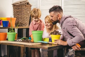 famille éco rénovation aides état