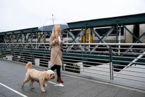 Woman walking her dog on a bridge while it rains