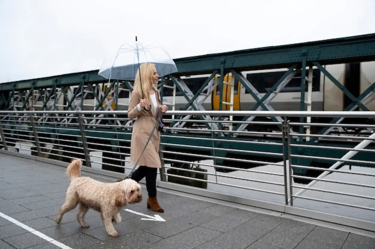 Passage canadien prix : guide complet pour choisir le meilleur modèle en 2026