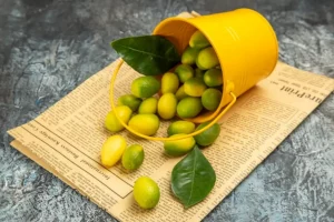 Horizontal view of fallen yellow bucket with fresh kumquats on newspapers on gray table