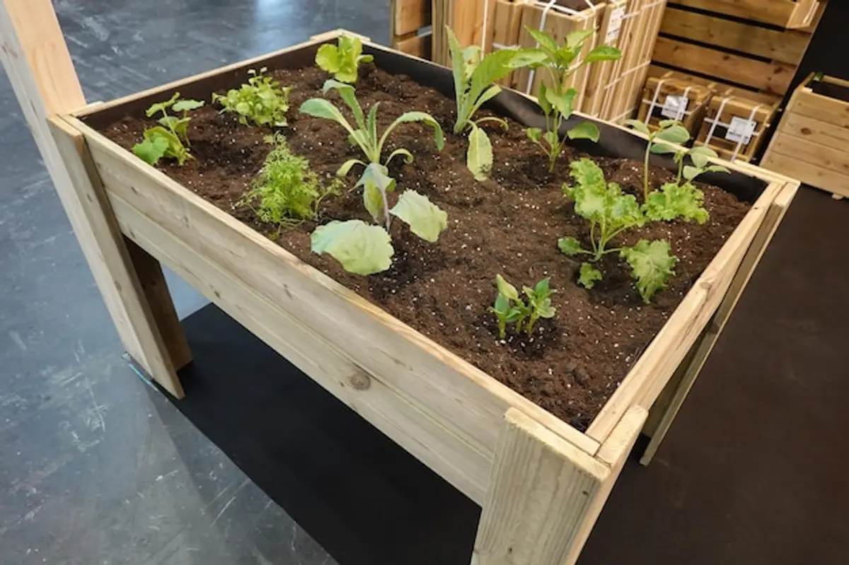 Potager palette au sol : le guide ultime pour un jardin productif, économique et écolo en 2026