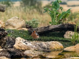 réserve naturelle paysage protégé biodiversité