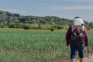 agriculteurs champs pesticides bassines