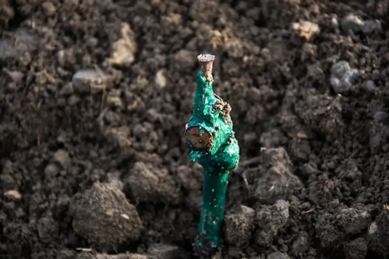 Cadmium c&rsquo;est quoi ? Le métal toxique qui s&rsquo;accumule silencieusement dans votre assiette