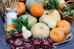 légumes novembre saison marché bio