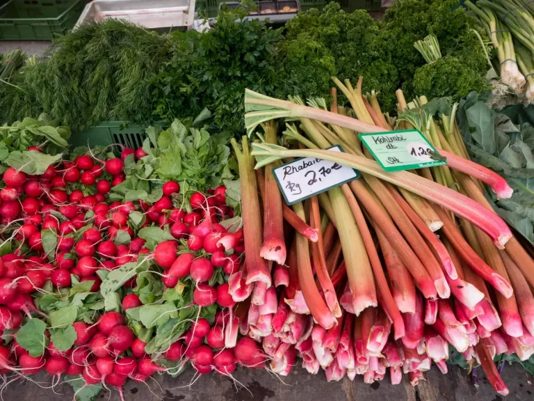 Mangez les légumes d&rsquo;avril pour booster santé et planète