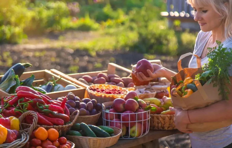 Manger de saison : le calendrier mois par mois pour économiser et bien manger