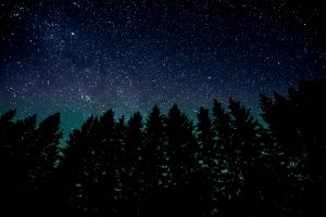 Nature la nuit