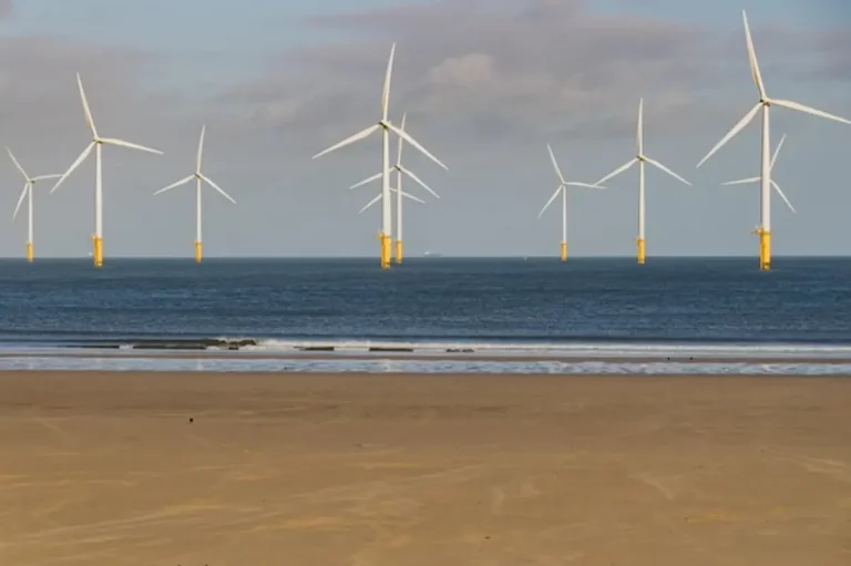 Parc Éolien : Les Secrets des Géants du Vent qui Révolutionnent Notre Énergie
