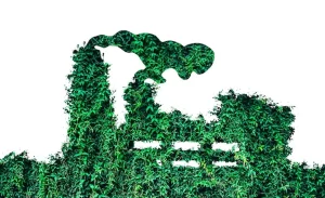 production usine verte durable