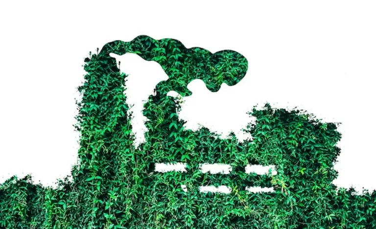 Production durable : comment transformer nos ressources en avenir viable sans épuiser la planète