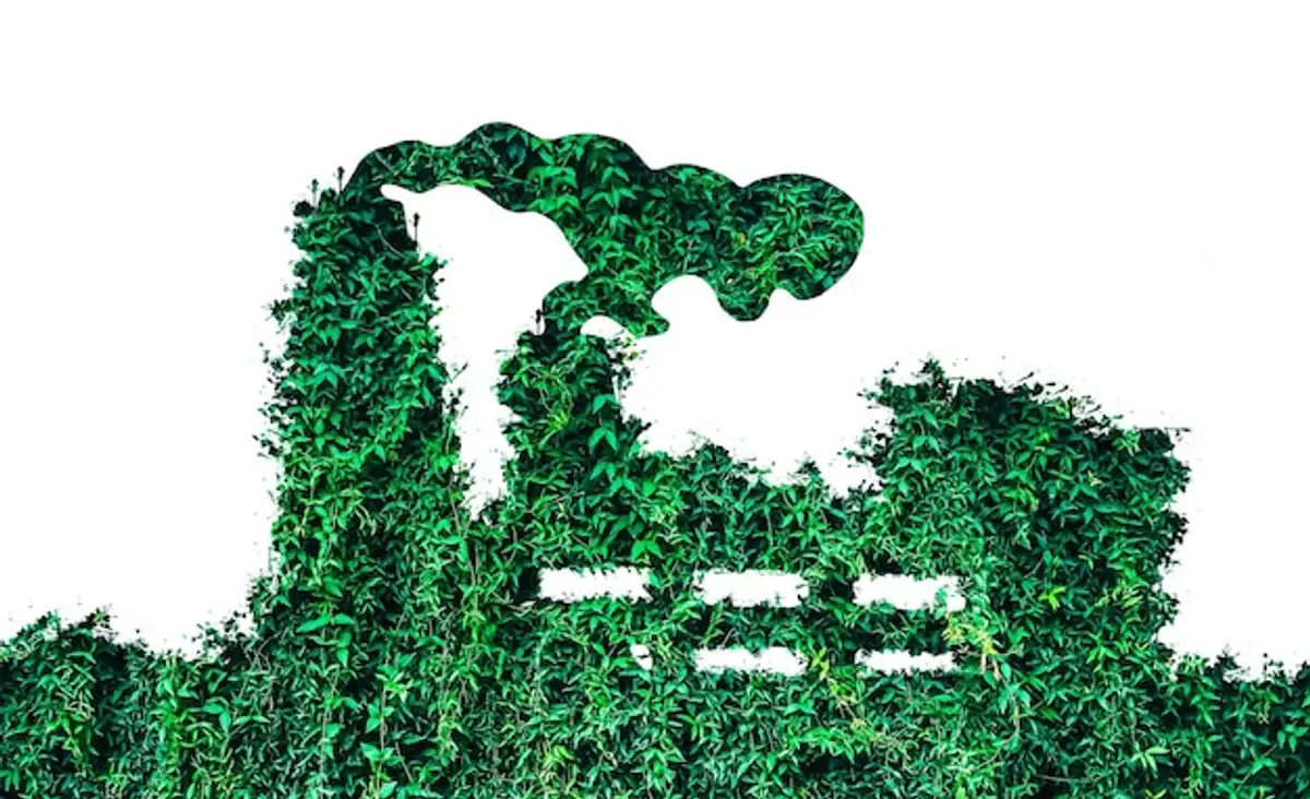 Production durable : comment transformer nos ressources en avenir viable sans épuiser la planète