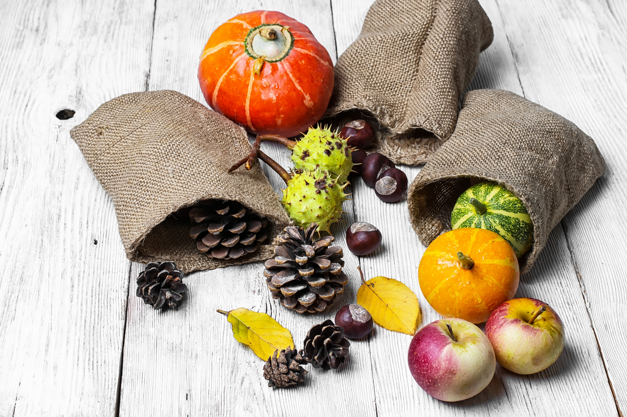 Les fruits vraiment de saison en octobre