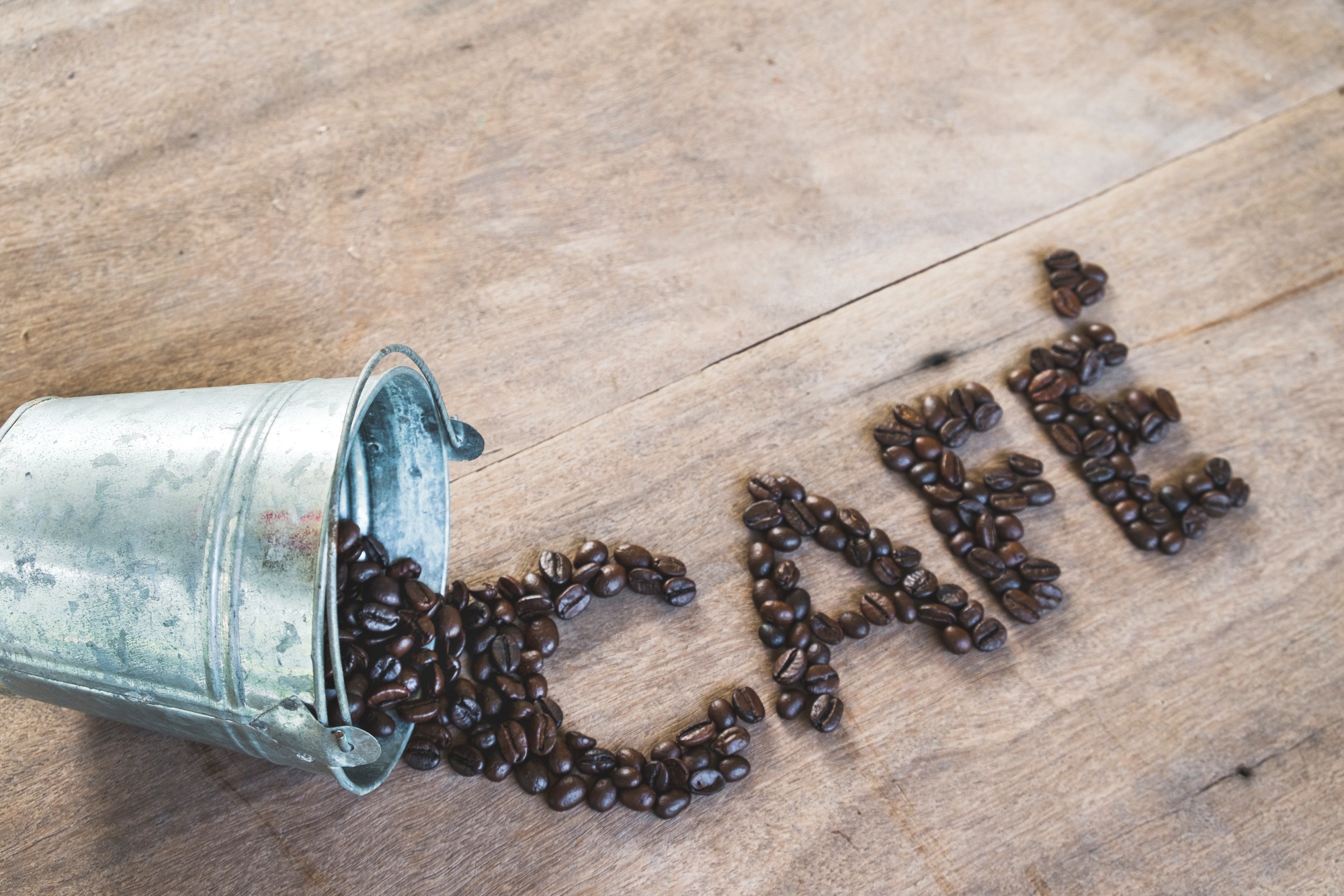 Le marc de café repousse-t-il vraiment les nuisibles ?