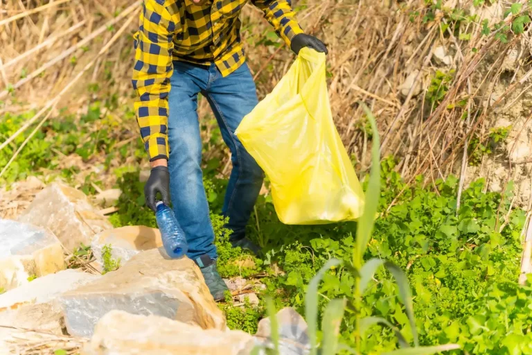 Organiser le ramassage des déchets verts 2021 sans prise de tête