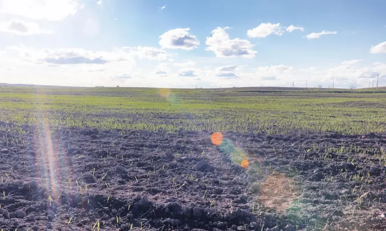 L&rsquo;effet de serre rend la vie possible sur Terre, voilà comment