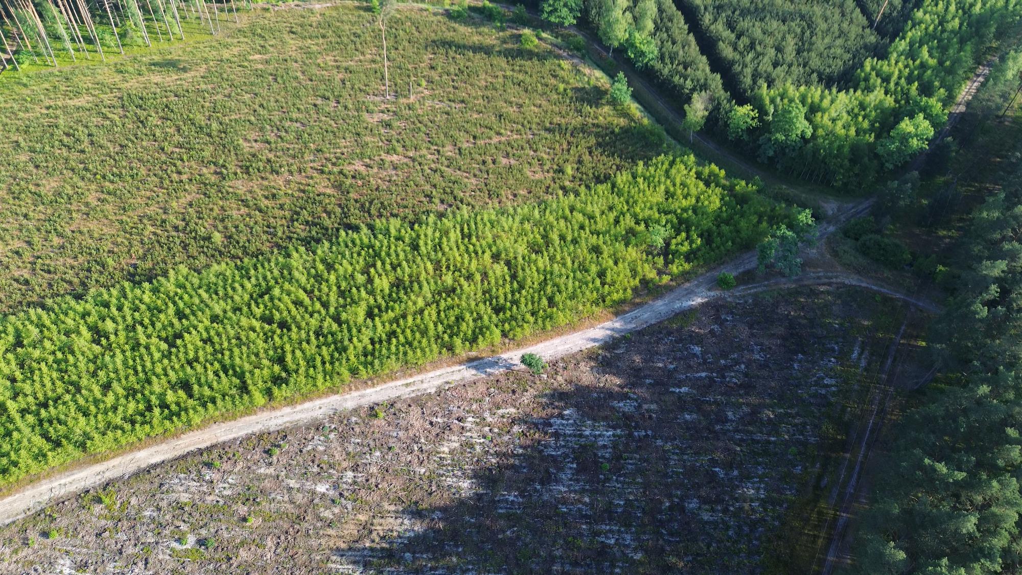 Pourquoi les politiques publiques comptent-elles pour l'environnement ?