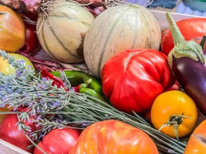 légumes hiver saison janvier marché bio