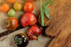 legumes de saison septembre