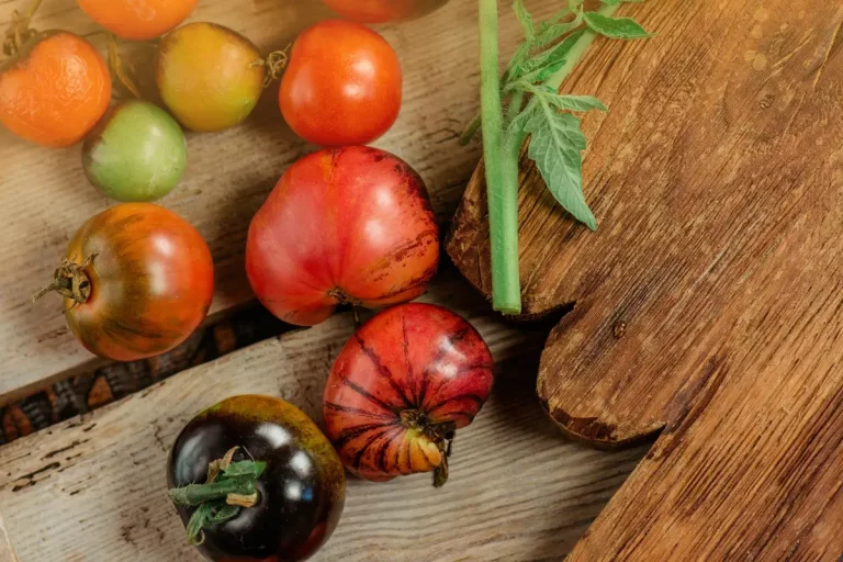 Manger les légumes de saison en septembre sans se tromper