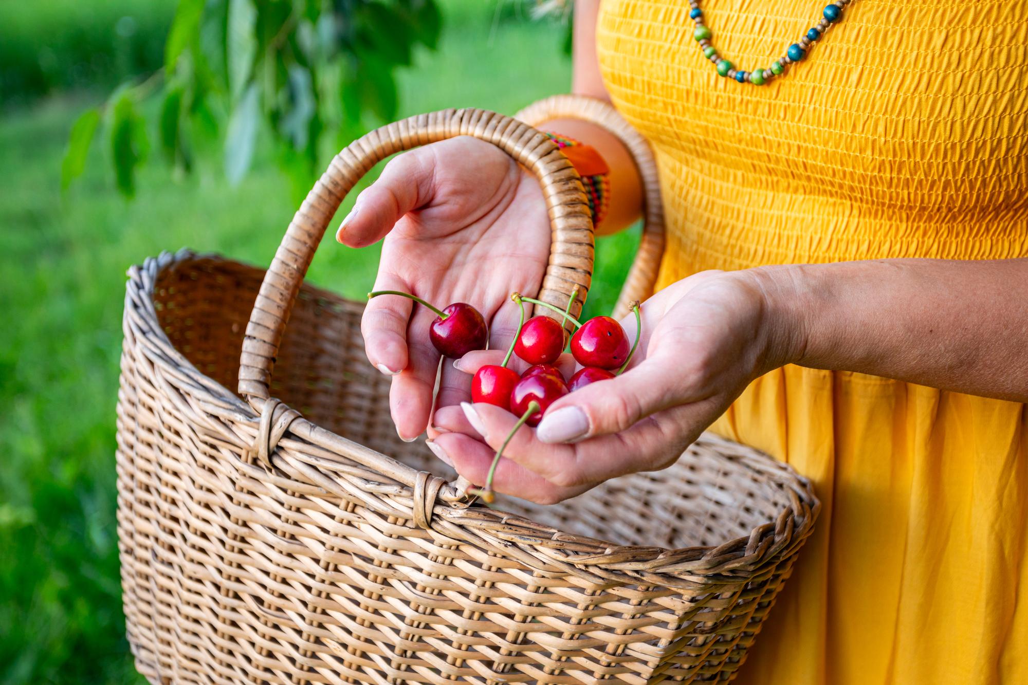 Fruits de mai et impact écologique : des choix qui comptent