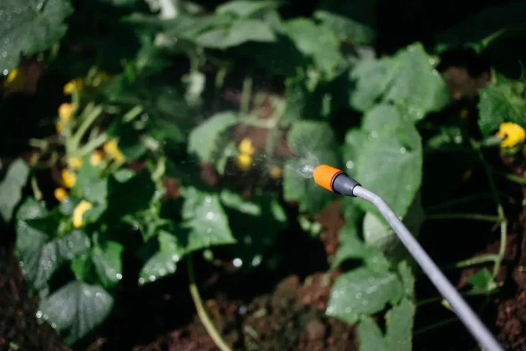Micro-irrigation sous serre : avantages et mise en place