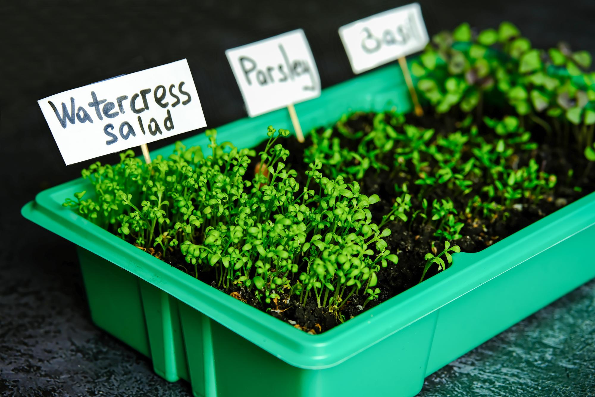 FAQ : Vos questions sur la micro-irrigation
