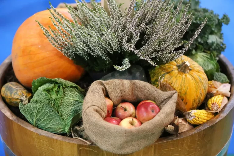 Cuisiner les légumes de février sans se lasser