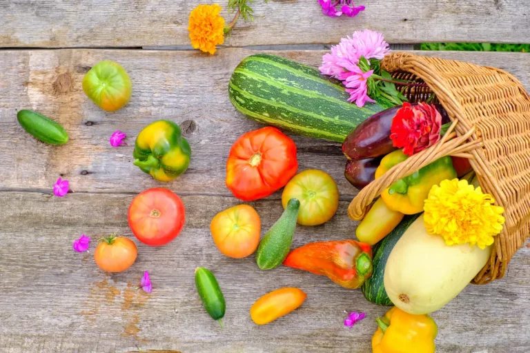 Cuisiner les fruits et légumes de mai sans se tromper
