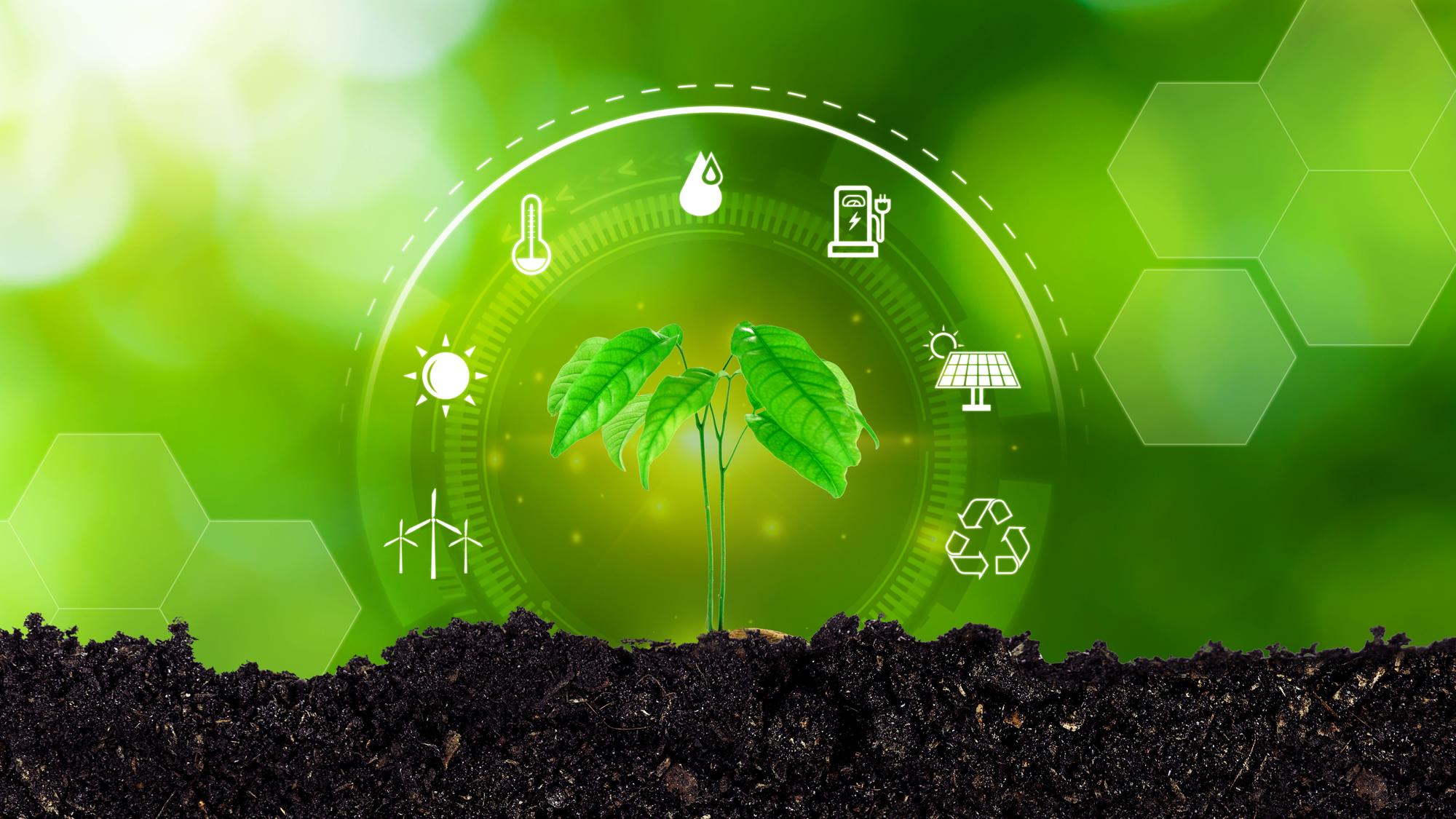Quel lien entre la colère des agriculteurs et l’écologie ?