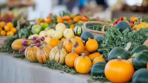 autumn vegetables market