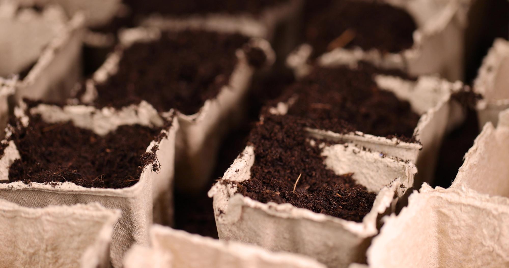 Comprendre le compost avant de se lancer