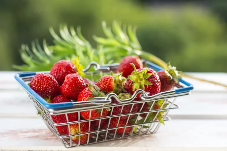 Repérer la période des fraises et vraiment en profiter